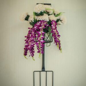 Design 11